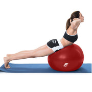 YOGA BALL WITH PUMP 65CM - Re